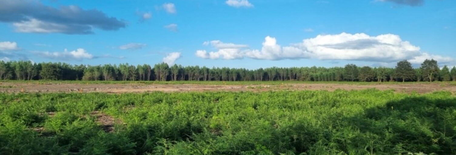 Terrain  672 m² à vendre à Laluque (40465)