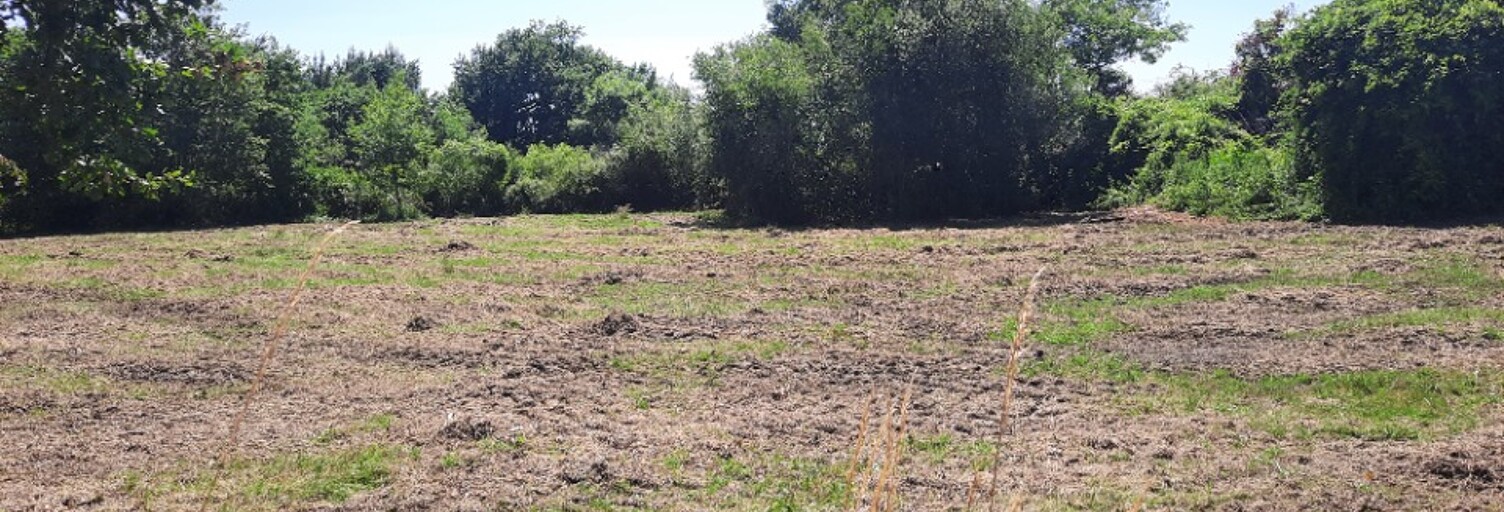 Terrain  485 m² à vendre à Brach (33480)