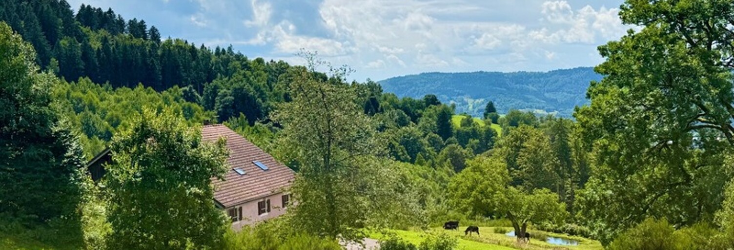 Maison 21 Pièces 467 m² à vendre à Le Thillot (88160)