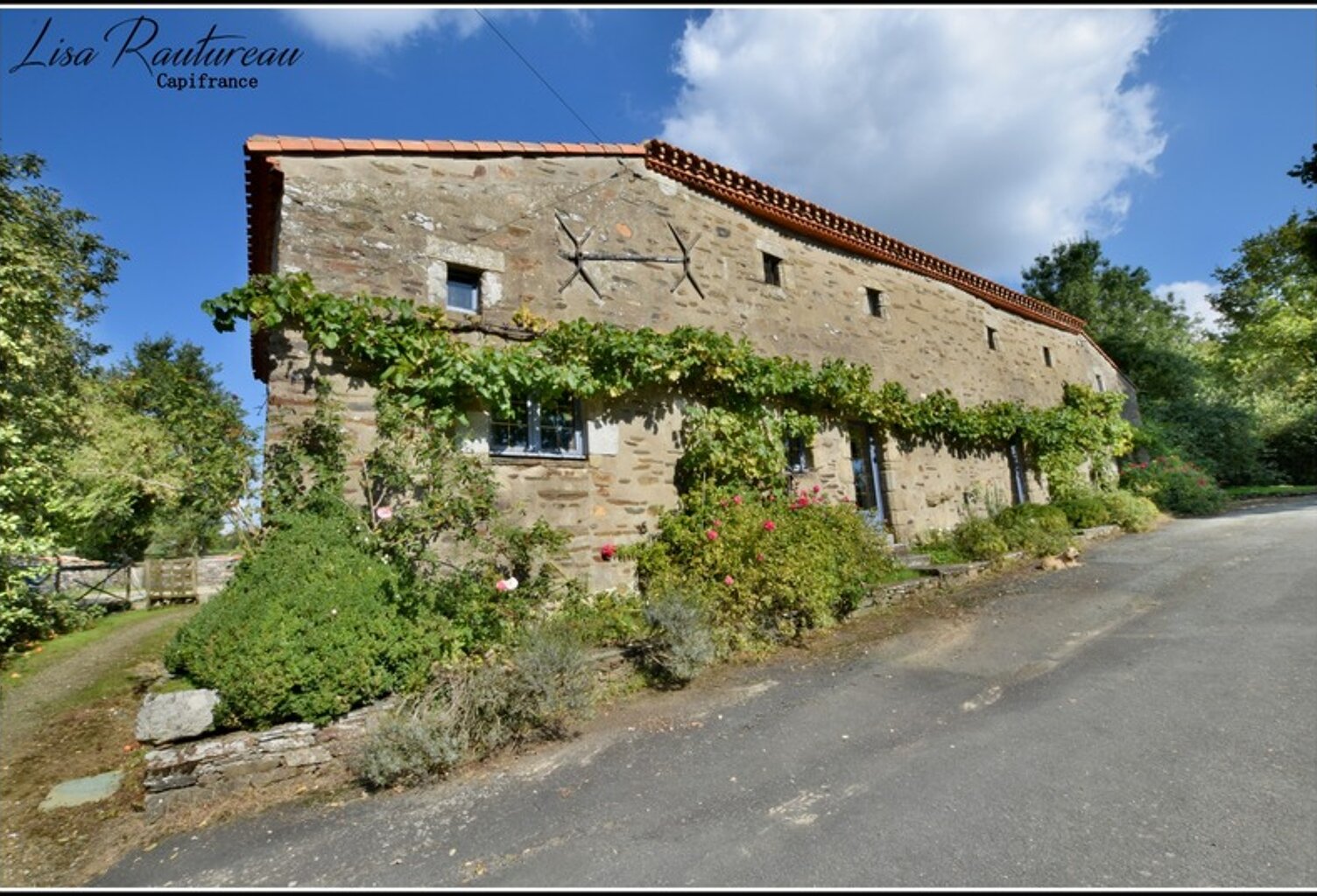 Domaine d'exception - CHAVAGNES EN PAILLERS (85) - 2 maisons d'habitations ainsi que 2 gîtes avec piscine — photo 1
