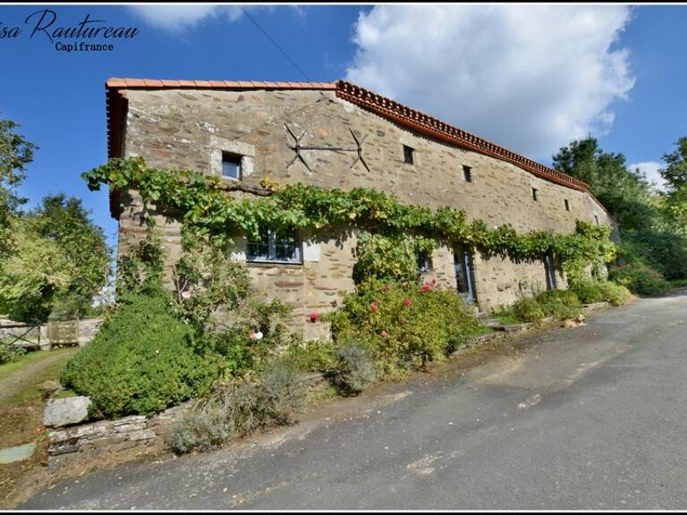 Domaine d'exception - CHAVAGNES EN PAILLERS (85) - 2 maisons d'habitations ainsi que 2 gîtes avec piscine — photo 1