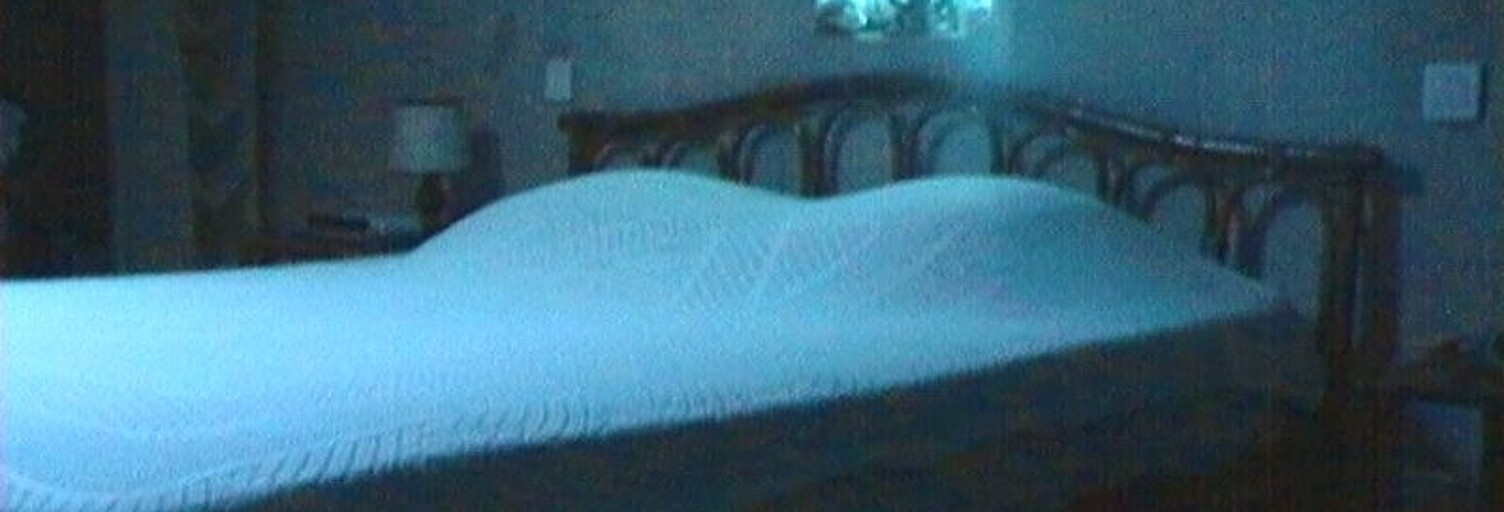 Appartement 2 Pièces 25 m² à louer à Vedène (84270)