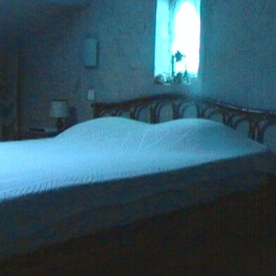 Appartement 2 pièces 450 €