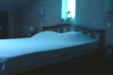 Appartement 2 pièces 450 €