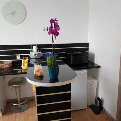 Appartement 1 pièces 480 €