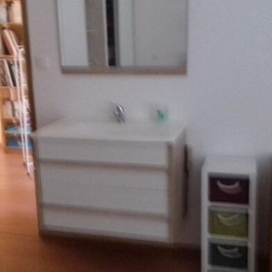 Appartement 1 pièces 300 €