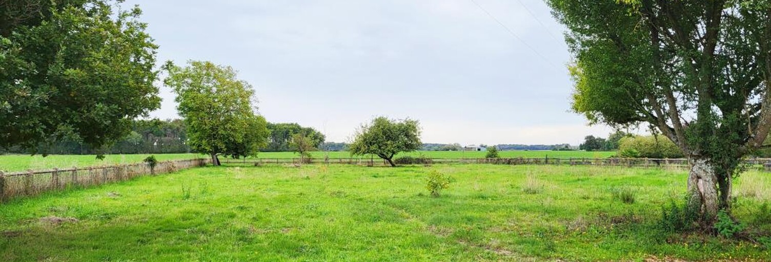 Terrain  2653 m² à vendre à Villeneuve-les-Genêts (89350)