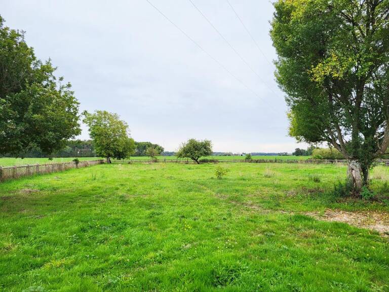 Terrain À Vendre — photo 1
