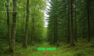 Terrain  4080 m² à vendre à Saint-Denis-en-Margeride (48700)