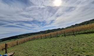 Terrain  11450 m² à vendre à Sainte-Sabine-sur-Longève (72380)