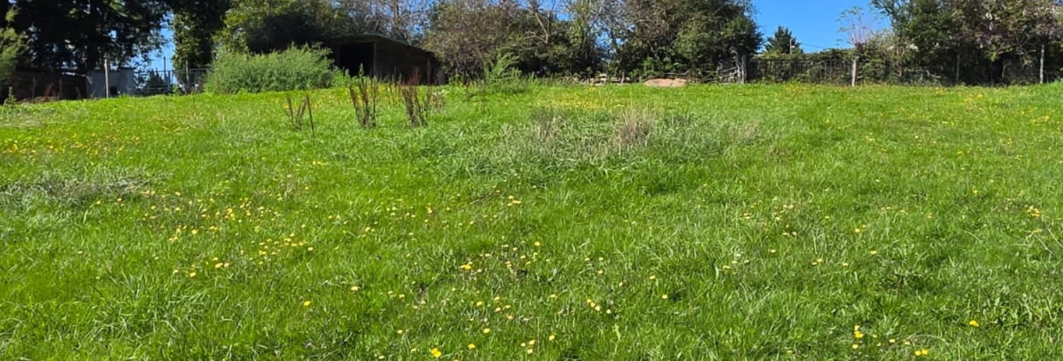 Terrain  8588 m² à vendre à Cusset (03300)