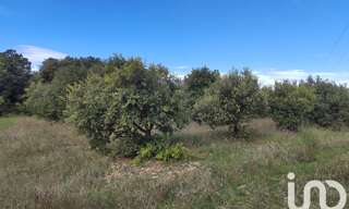Terrain  4300 m² à vendre à Sérignan-du-Comtat (84830)