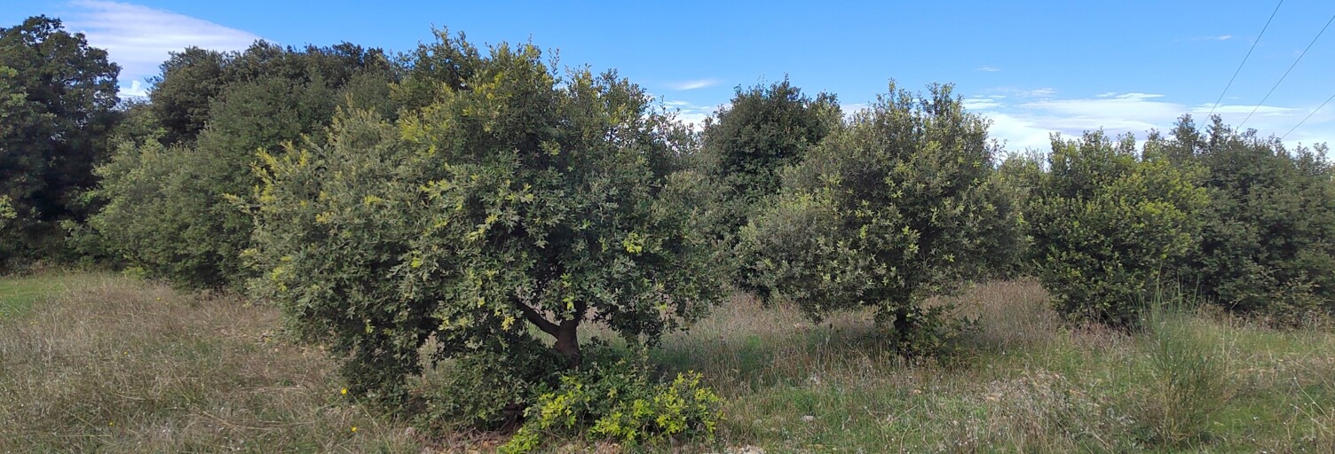 Terrain  4300 m² à vendre à Sérignan-du-Comtat (84830)