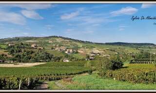 Maison 6 Pièces 326 m² à vendre à Saint-Vérand (71570)