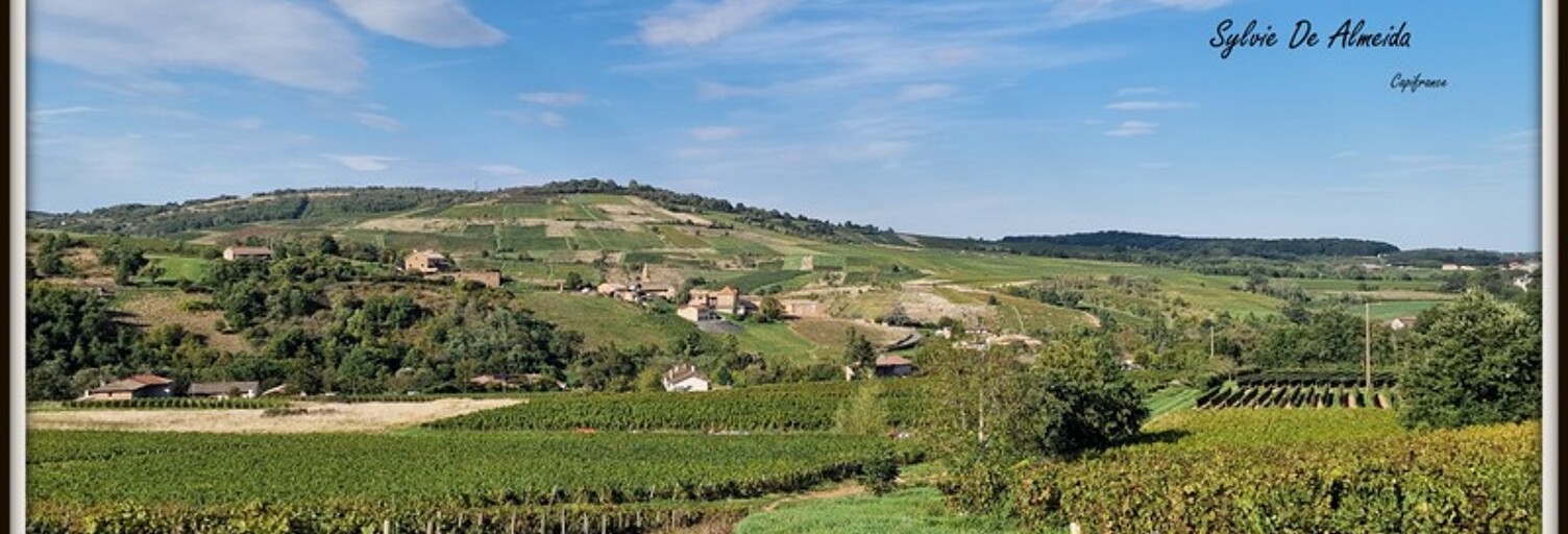 Maison 6 Pièces 326 m² à vendre à Saint-Vérand (71570)