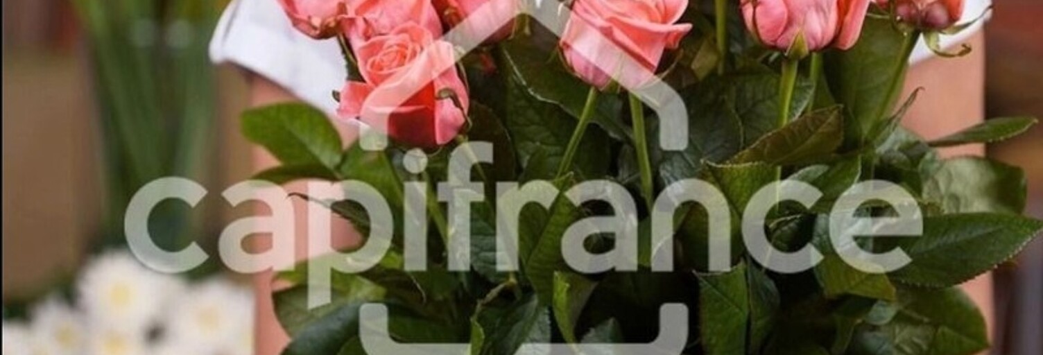 Commerce 3 Pièces 100 m² à vendre à Guingamp (22200)