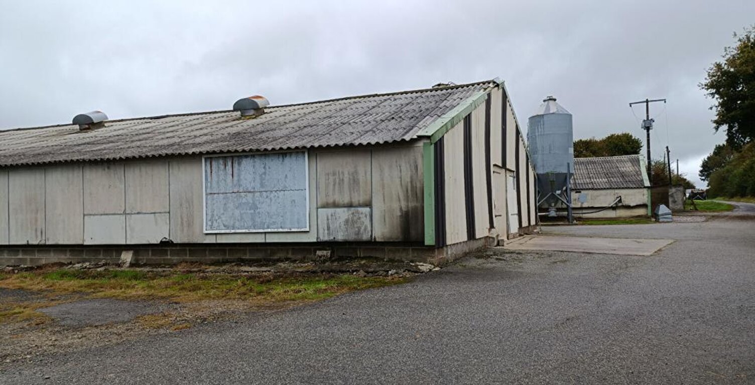 poulaillers industriels — photo 1