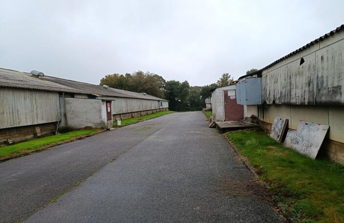 poulaillers industriels — photo 2