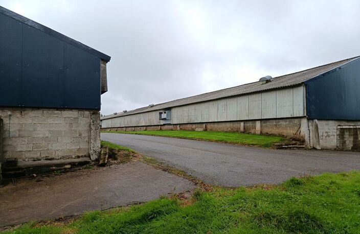 poulaillers industriels — photo 3