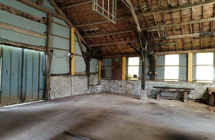 poulaillers industriels — photo 4