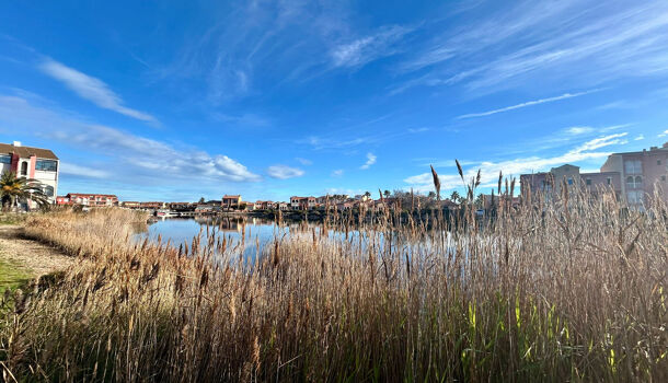 Appartement 2 pièces  à louer Barcarès (Le) 66420