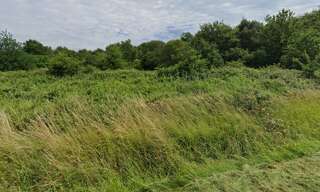 Terrain  750 m² à vendre à Saint-Savin (33920)