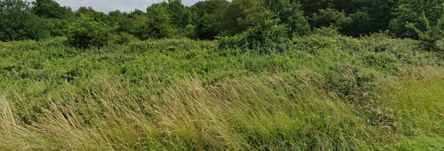 Terrain  750 m² à vendre à Saint-Savin (33920)