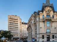 Coeur historique de Dijon- Grangier-Darcy  -Râre-Appartement grands volumes et studio indépendant - libre — photo 2