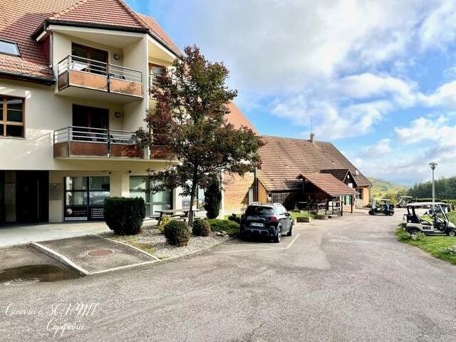 Dpt Haut-Rhin (68), à vendre AMMERSCHWIHR appartement T2 — photo du bien