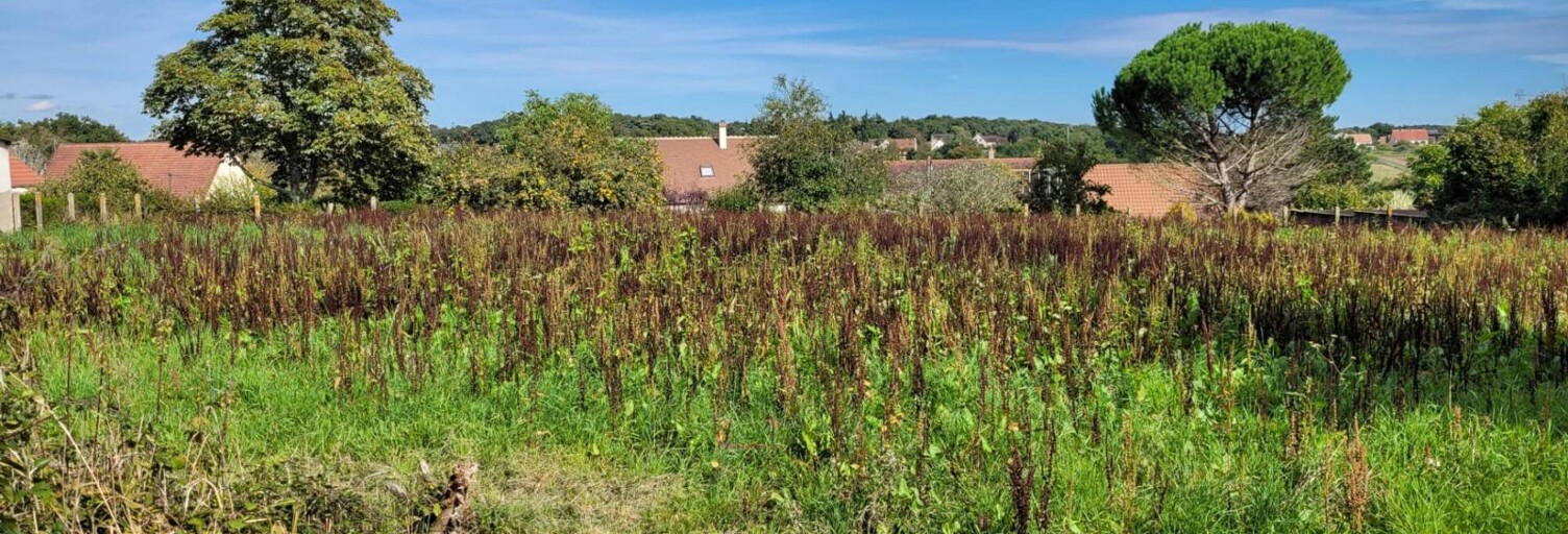 Terrain  3372 m² à vendre à Vendôme (41100)