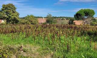 Terrain  3372 m² à vendre à Vendôme (41100)