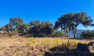 Terrain 1516 m² à construire Les Adrets-de-l'Estérel (83600)