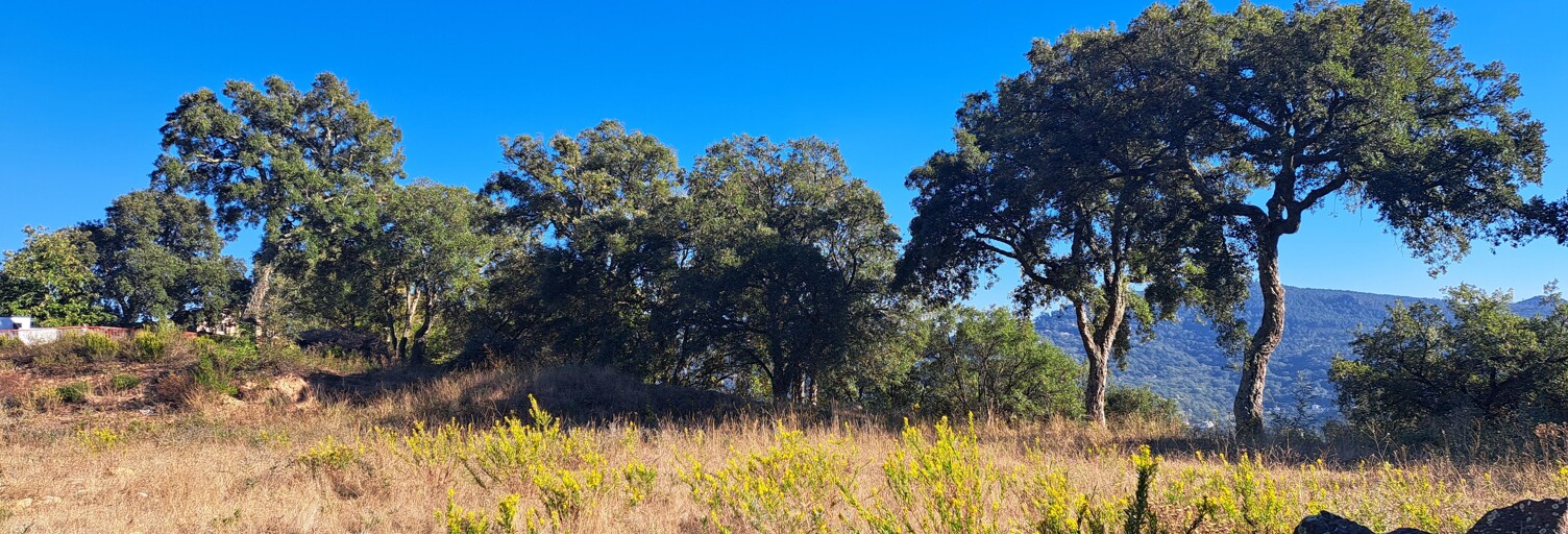 Terrain 1516 m² à construire Les Adrets-de-l'Estérel (83600)
