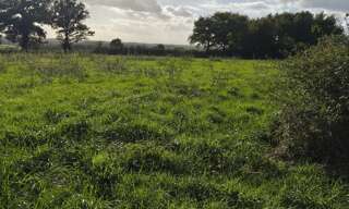 Terrain  4300 m² à vendre à Ceaulmont (36200)