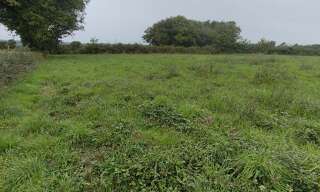 Terrain  4300 m² à vendre à Ceaulmont (36200)