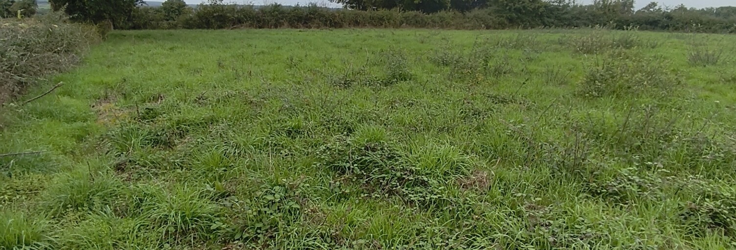 Terrain  4300 m² à vendre à Ceaulmont (36200)