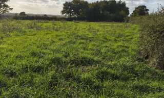 Terrain  4300 m² à vendre à Ceaulmont (36200)