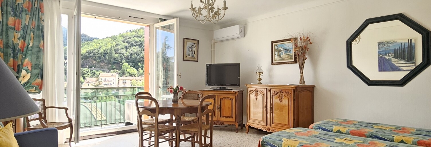 Appartement 1 Pièce 36 m² à vendre à Amélie-les-Bains-Palalda (66110)