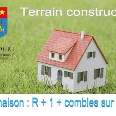 Terrain  80000 €