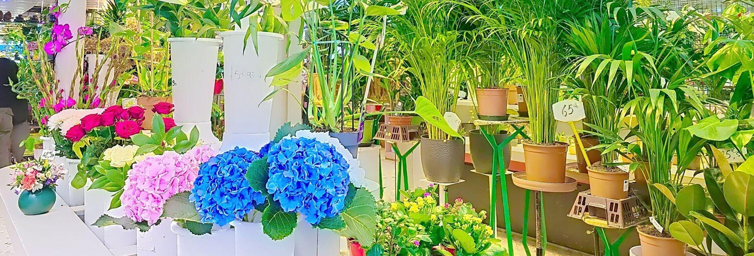 Commerce  100 m² à vendre à Paris 19 (75019)