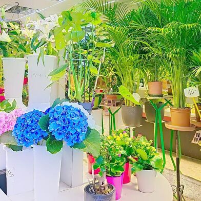 Commerce  198000 €