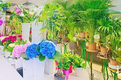 Commerce  198000 €