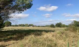 Terrain  19839 m² à vendre à Palau-del-Vidre (66690)