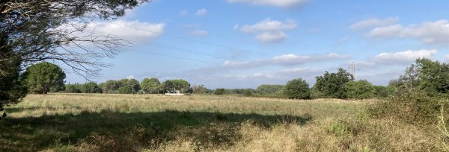 Terrain  19839 m² à vendre à Palau-del-Vidre (66690)