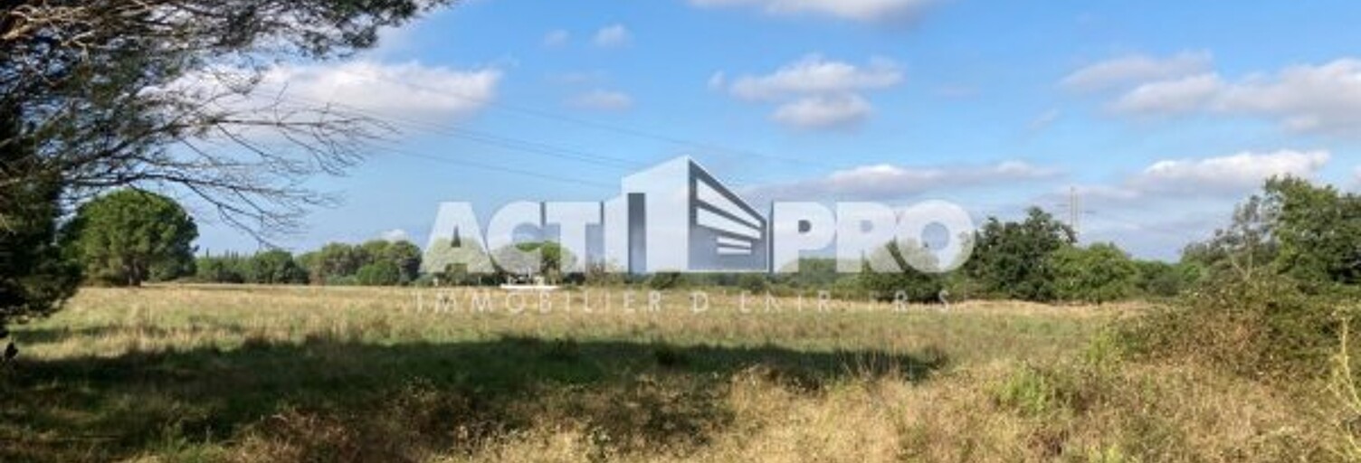 Terrain  19839 m² à vendre à Palau-del-Vidre (66690)