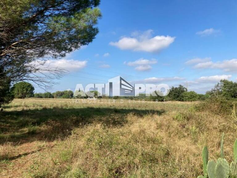 Terrains à vendre — photo 1