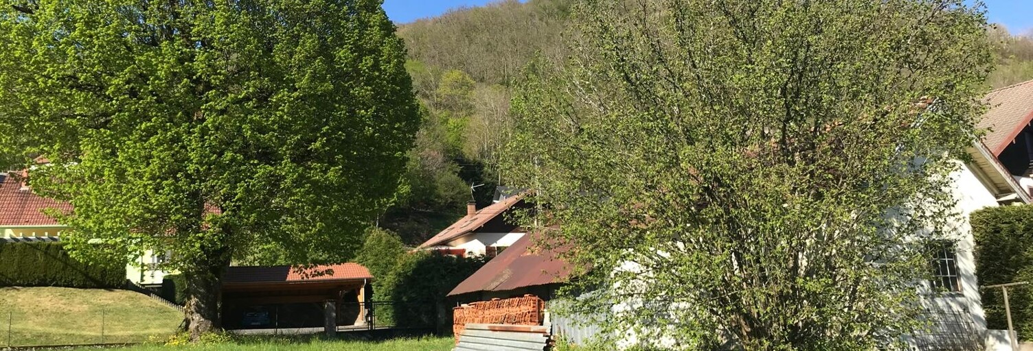 Terrain  2477 m² à vendre à Fresse-sur-Moselle (88160)