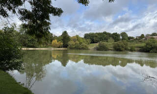 Terrain  21896 m² à vendre à Chapelle-Viviers (86300)