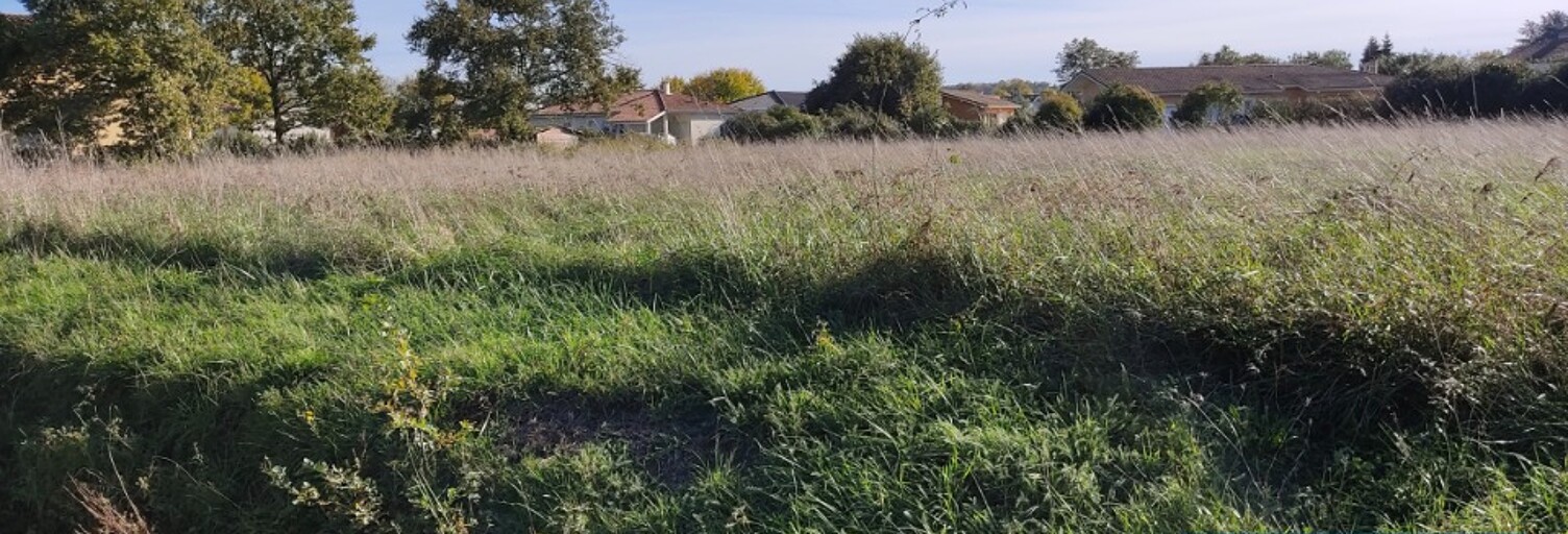 Terrain  565 m² à vendre à Saint-Perdon (40090)