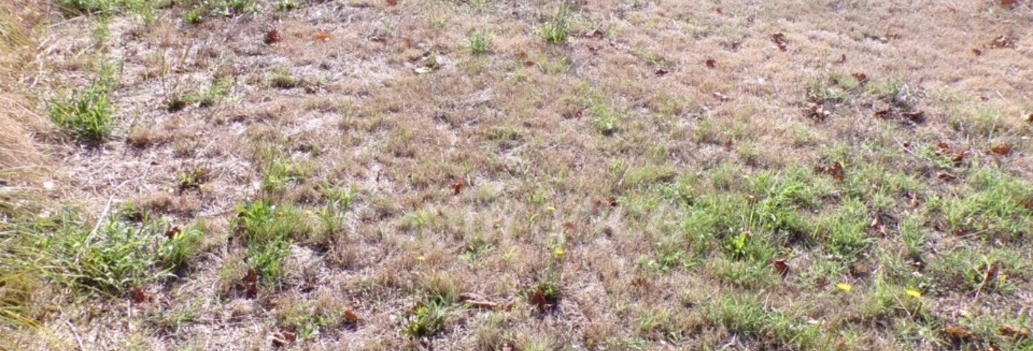 Terrain  730 m² à vendre à Le Teich (33470)